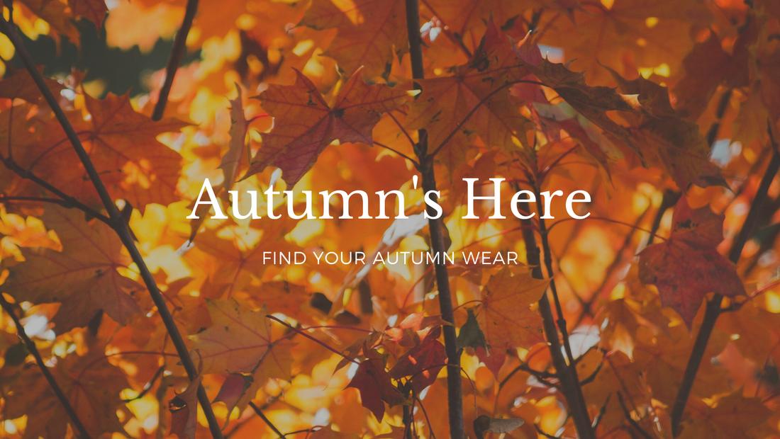 Autumn Winter Collections Are Here!!