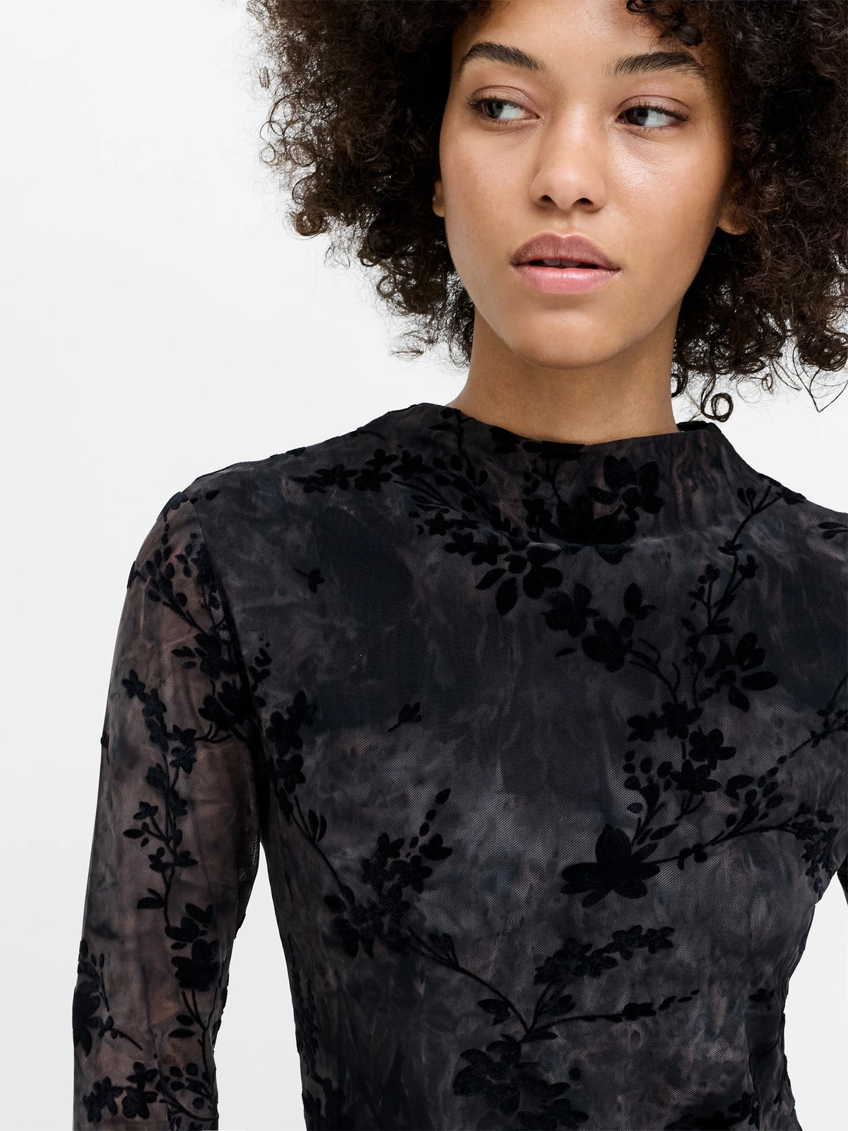 Kenny Floral Velvet Devore Mesh Top