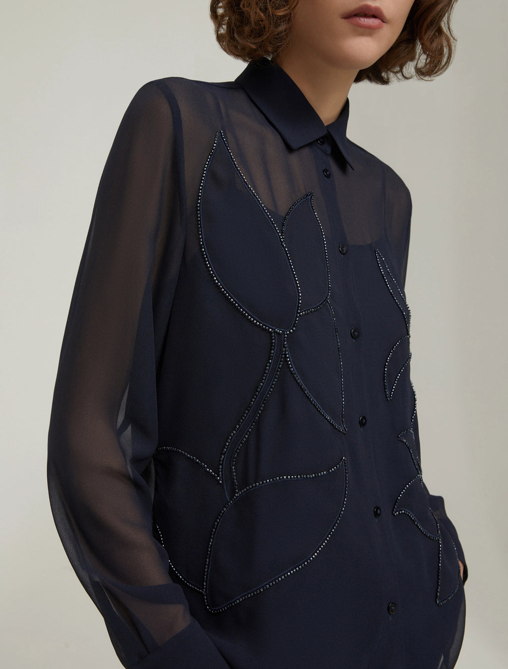 The Embroidered Sheer Shirt Blouse