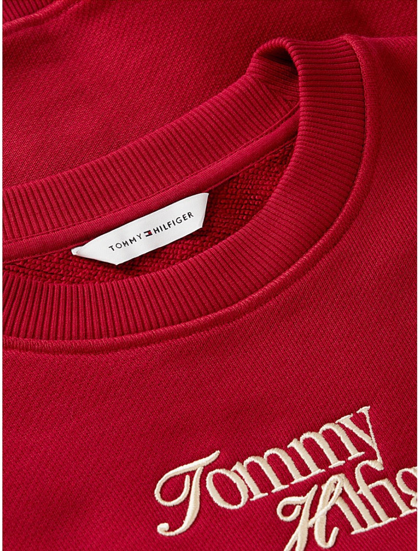 Raspberry Logo Relaxed Terry Sweatshirt