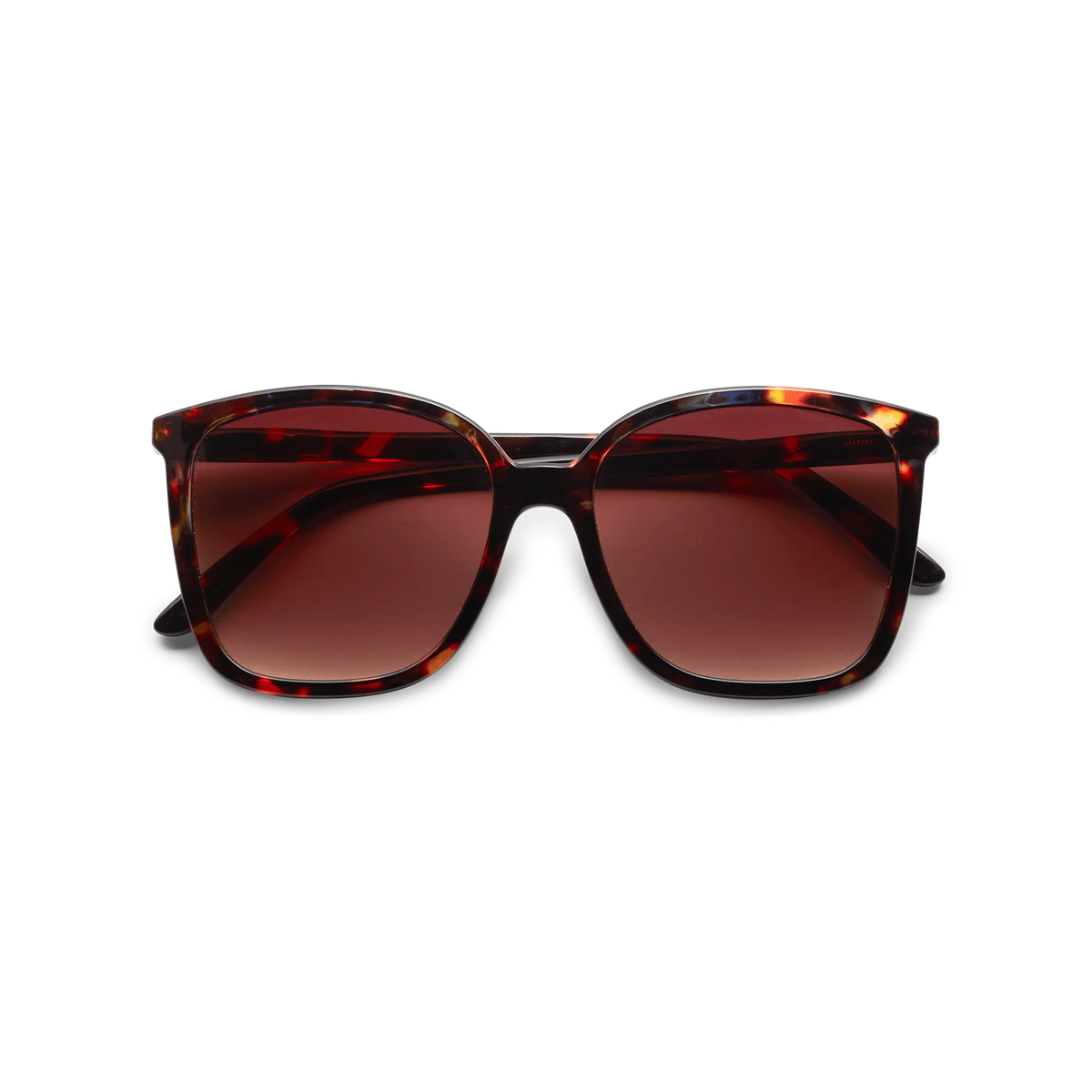 Have A Look Nymph Tortoise Sunglasses