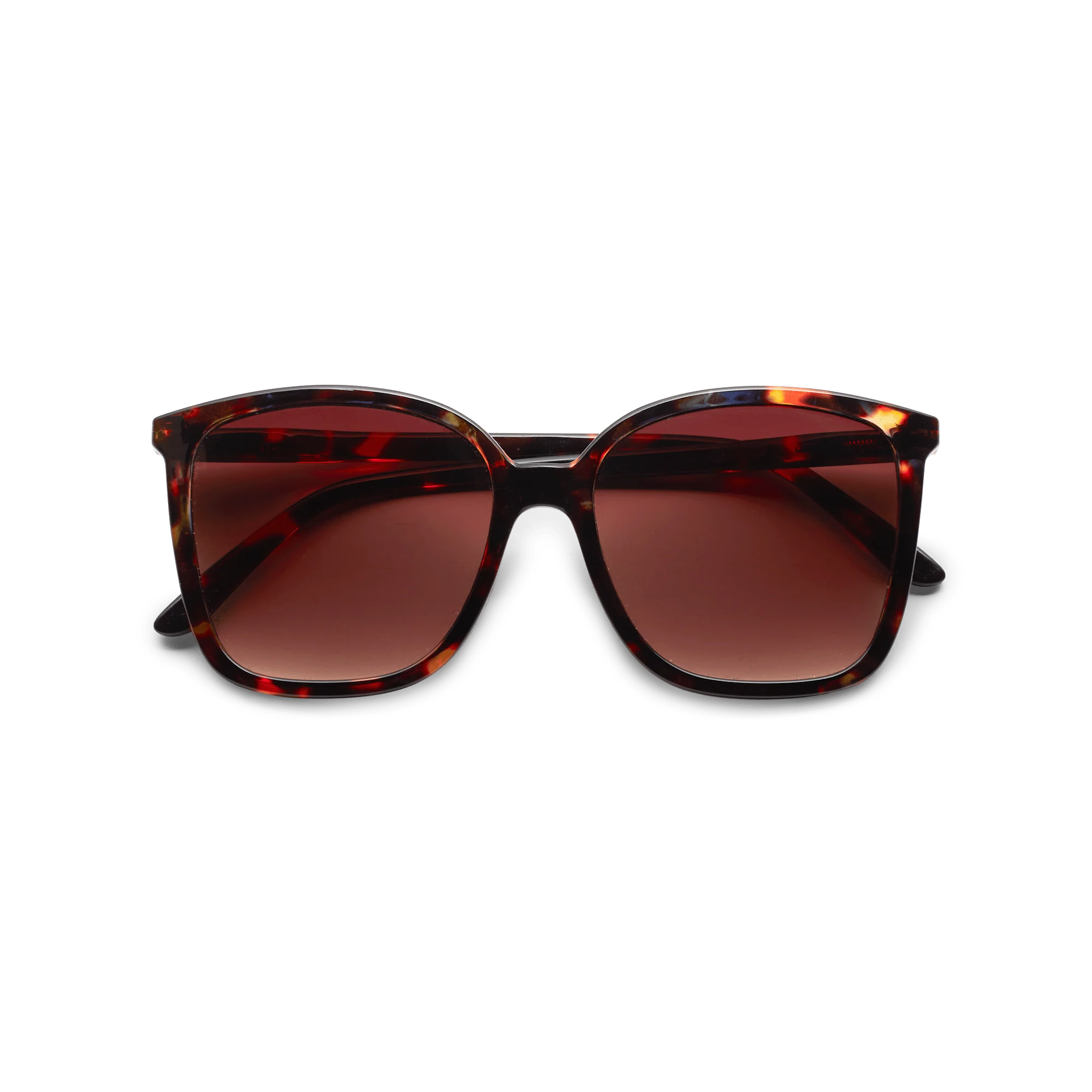 Have A Look Nymph Tortoise Sunglasses